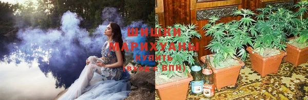 мяу мяу мука Магадан