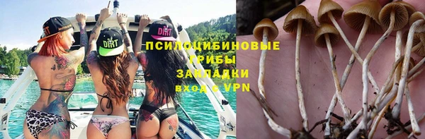 прущий лед Магас