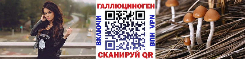 Галлюциногенные грибы Psilocybe Великий Новгород